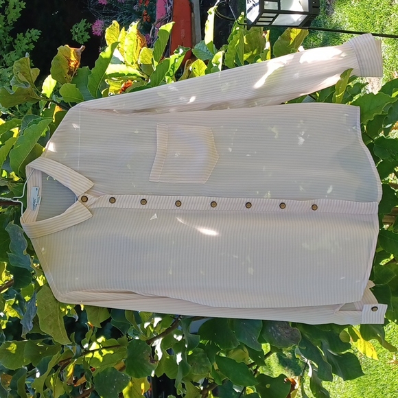 Covet semi-sheer blouse - Picture 2 of 7